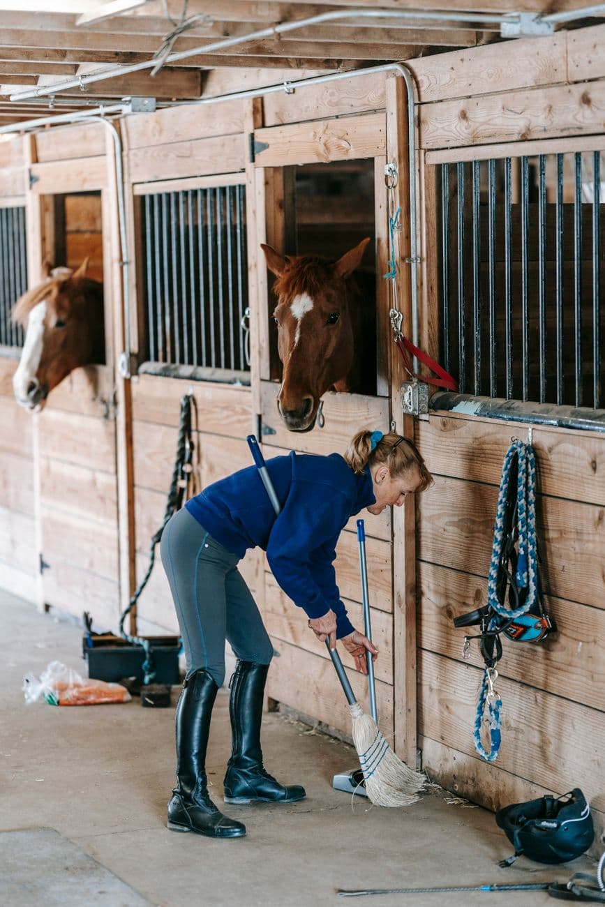 Portrait · un membre de l’équipe au travail dans l’allée, chevaux aux boxes