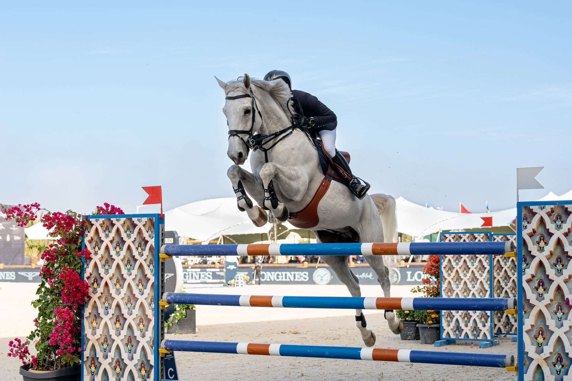 Paysage · concours, saut d’obstacles