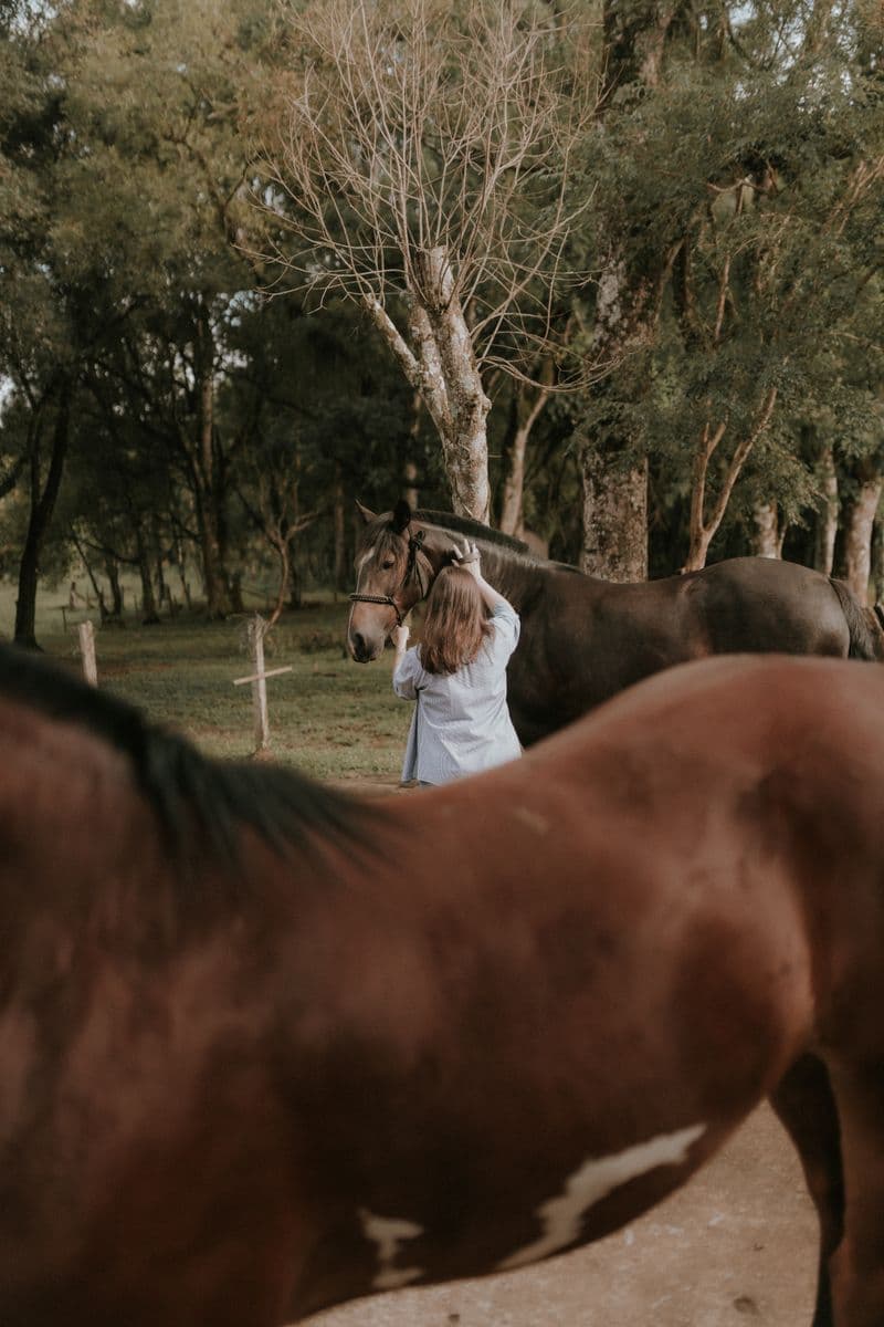 Propriétaire seul·e avec son cheval, vue de dos ou de trois quarts, extérieur — plan vertical