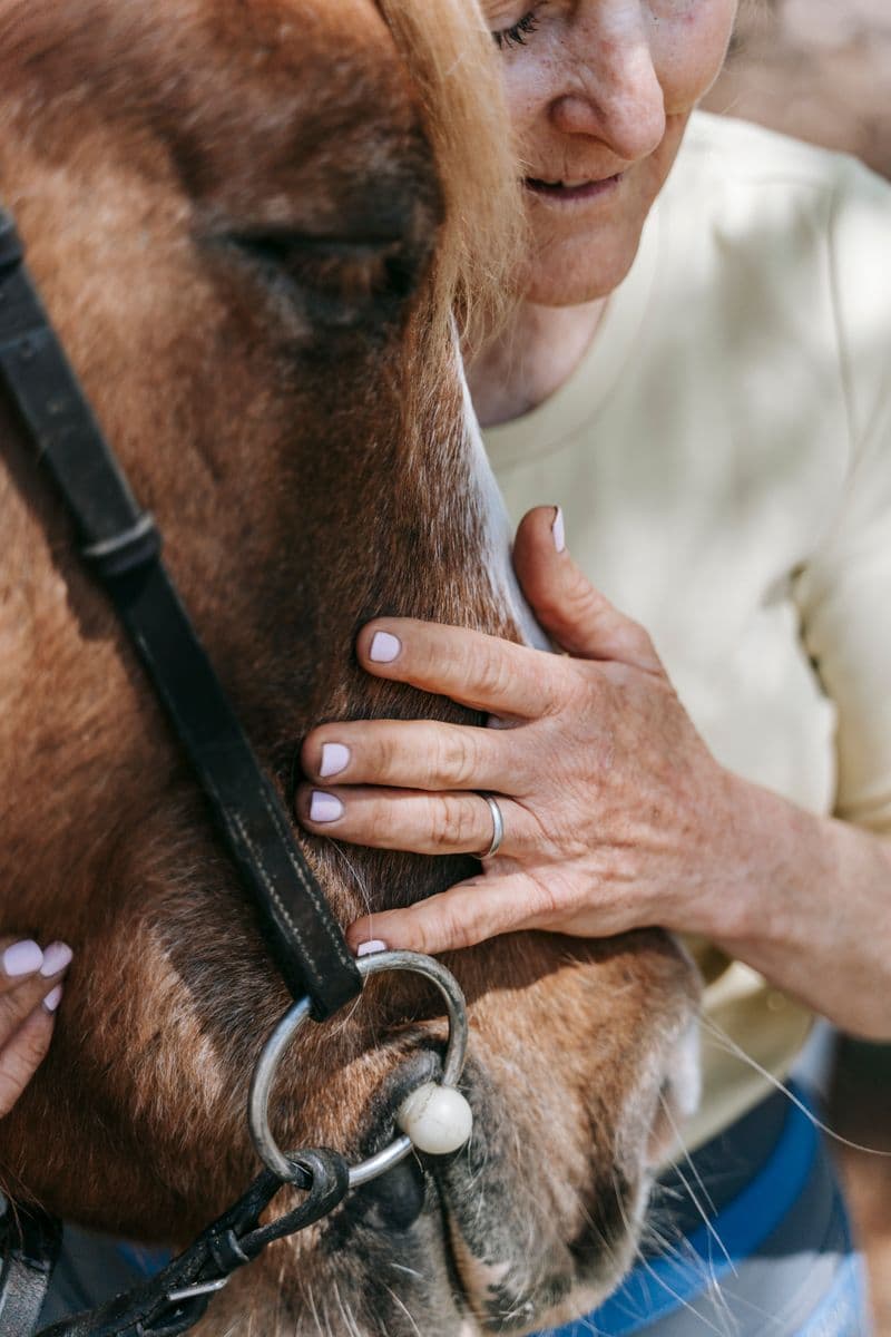 Une personne seule avec le cheval qu’elle partage, front contre chanfrein — format portrait