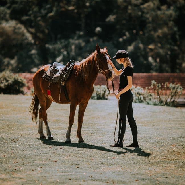 Moment intime : quelqu’un assis dans la paille, le cheval qui vient le chercher du bout du nez